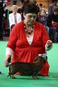 Crufts2011_2 931